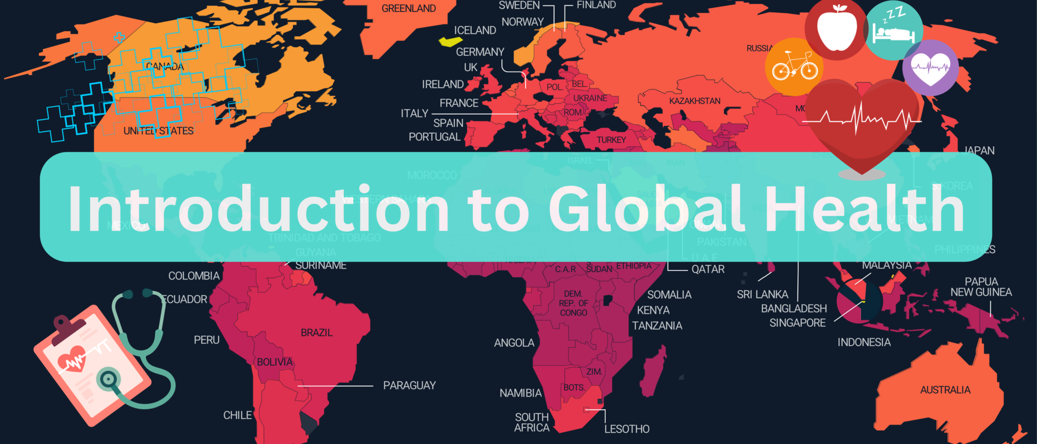 SONS-265-1-Introduction to Global Health-2026-2027-S2