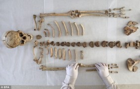 ARCH 210-1 Bioarcheology: Human Remains Fall 2024