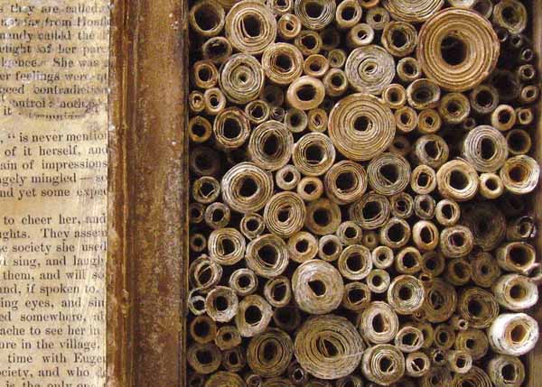 CL 278-1 Literature and Society in Ancient Rome Fall 2024