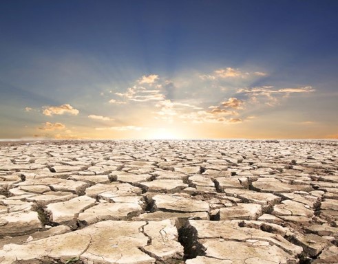 ARCH/NS 310-1 Environmental Archaeology and Paleoclimatology Spring 2025