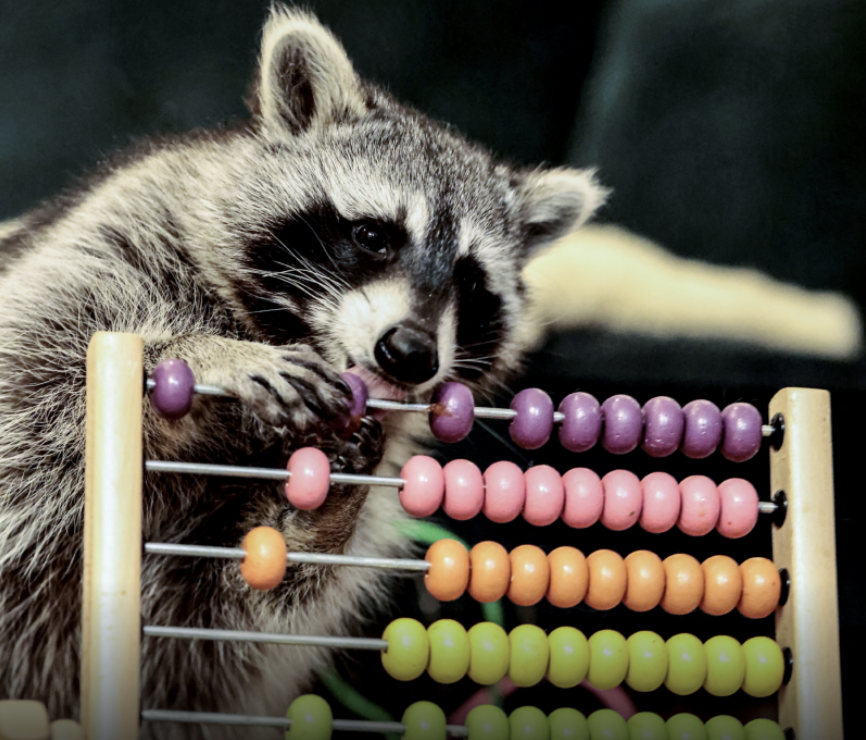 PS 208-2 Introduction to Statistical Analyses of Psychological Data Spring 2025