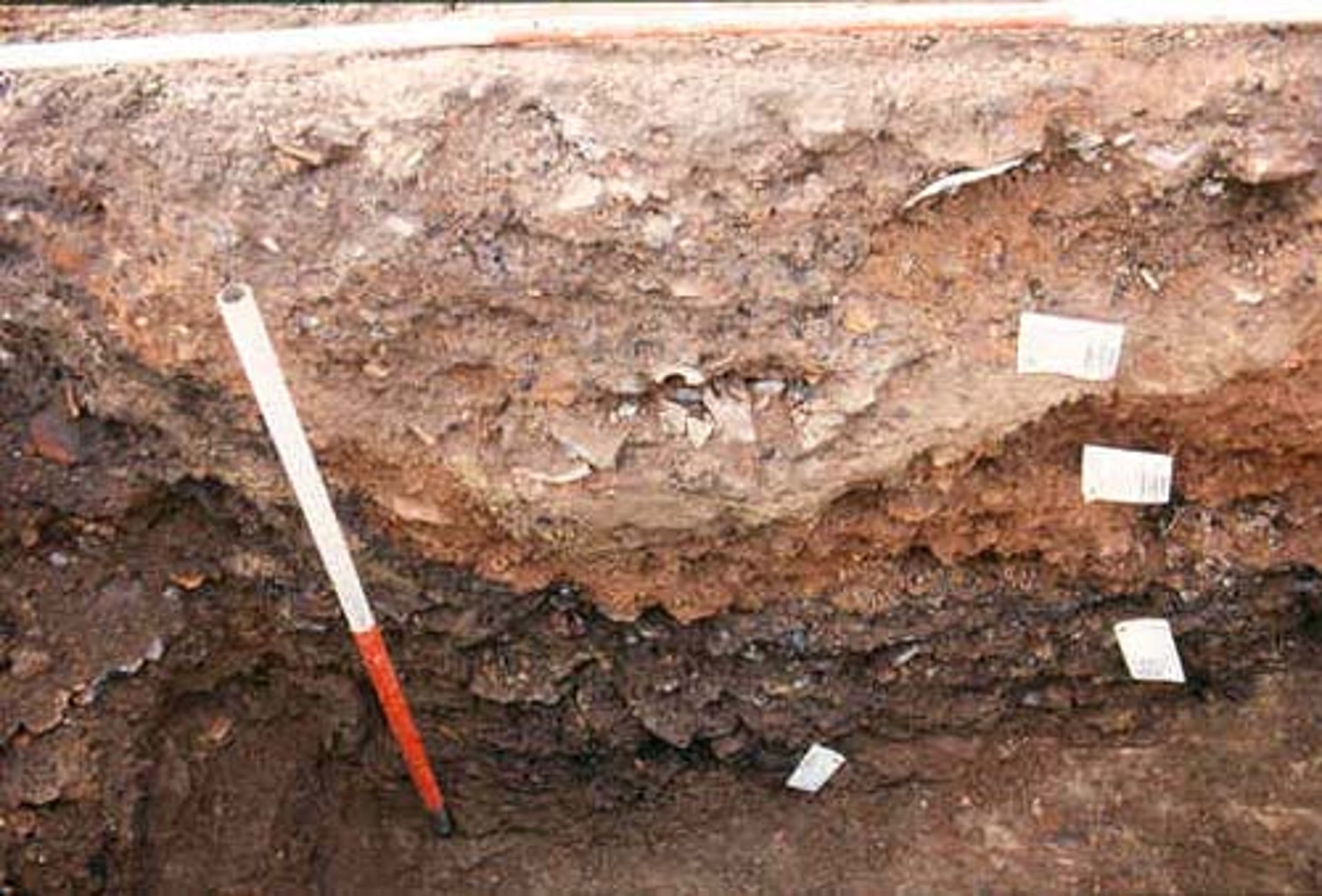 ARCH/CL 101-1 The Archaeology of the Ancient Mediterranean World Fall 2025