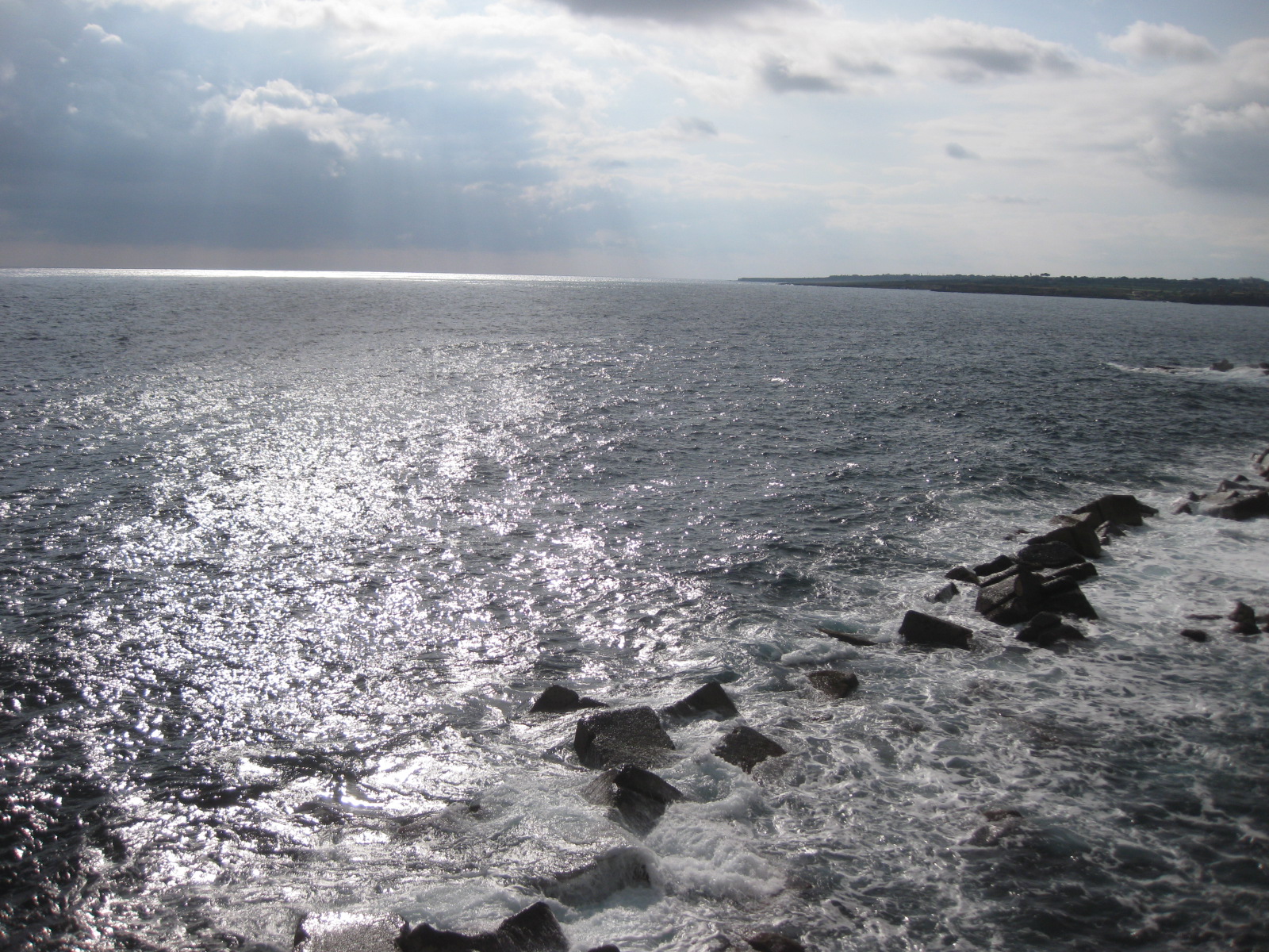 ARCH/NS 310-1 Environmental Archaeology and Paleoclimatology Spring 2026