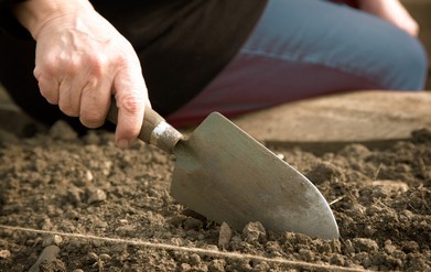 ARCH/CL 101-1 Introduction to Classical Archaeology Spring 2026